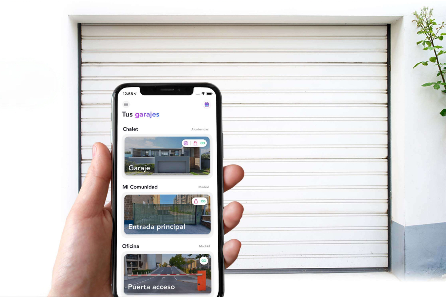 homyhub