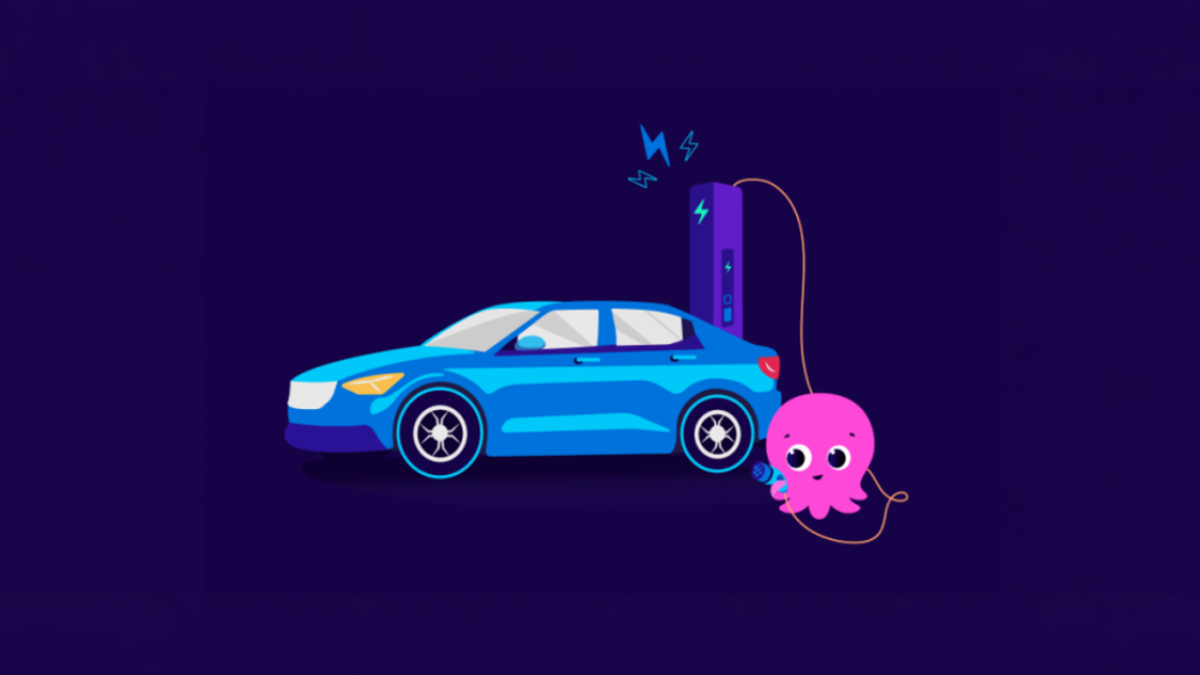 Octopus