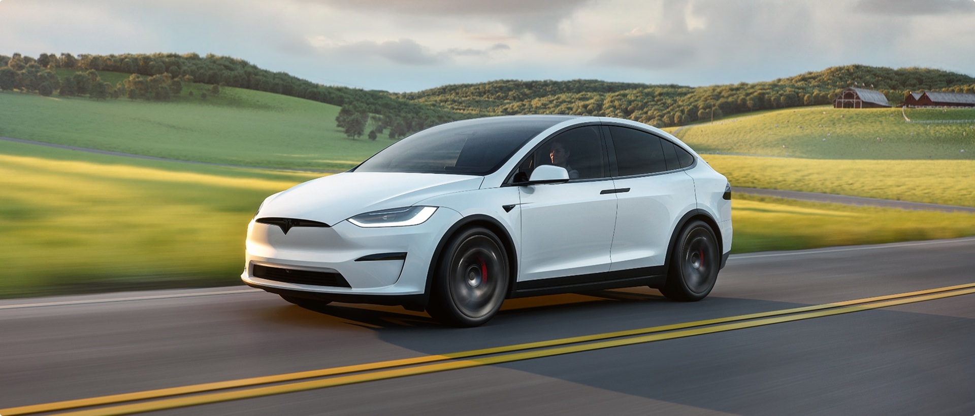 Tesla Model X Plaid exterior
